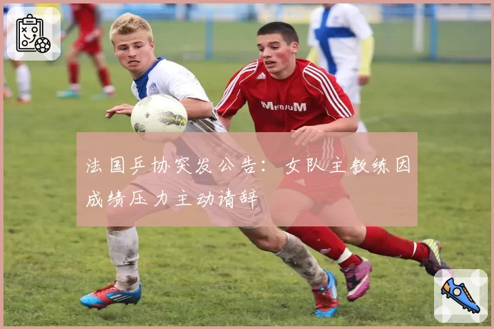 法国乒协突发公告：女队主教练因成绩压力主动请辞